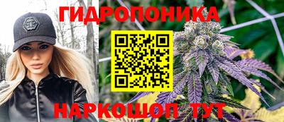 прущие крисы Комсомольск-на-Амуре