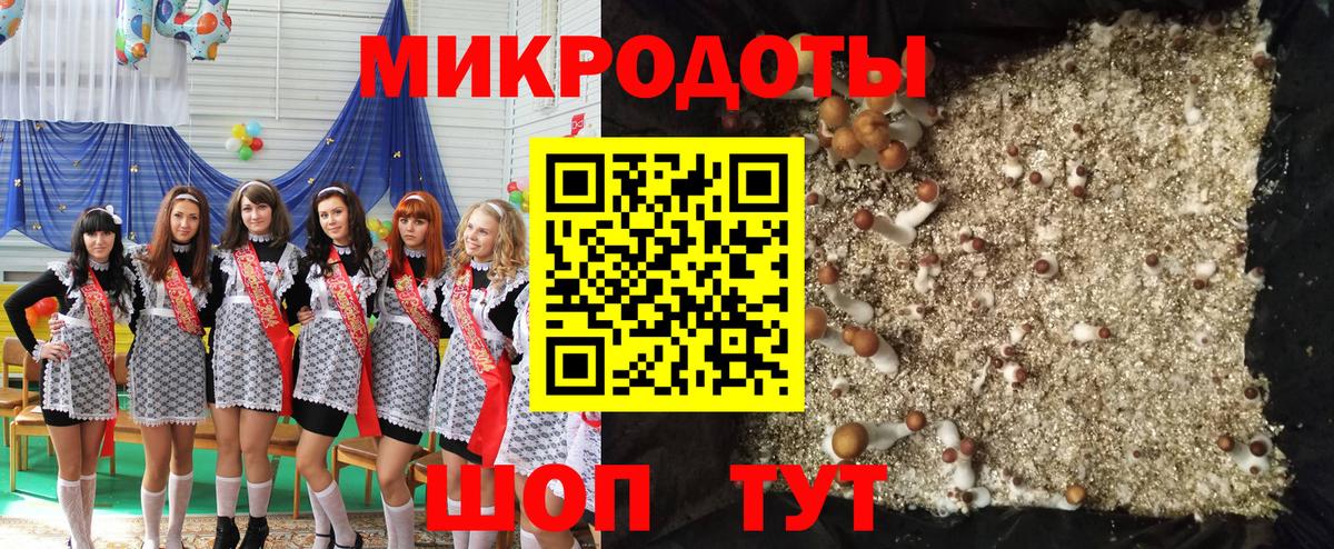 где продают наркотики  Псилоцибиновые грибы Cubensis  Вход с VPN  Валуйки 